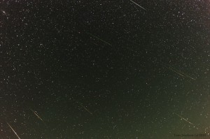 Du kan finde et dusin stjerneskud på dette billede. Billedet viser alle 12 vstjerneskud som kamearet fangede natten mellem d. 12. og 13. august. 